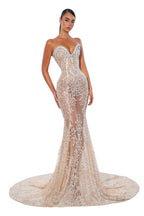 Celestial Veil - full length front view with pooling train