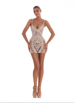 Short Glamorous Silver Dress (HIRE)